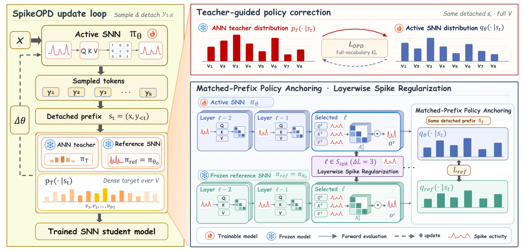 Figure 2：Figure 4: Overview of SpikeOPD. On the same detached self-generated prefixes, teacher correction transfers the